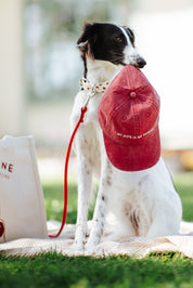 Rote Denim Cap  - My Dog Is My Shrink