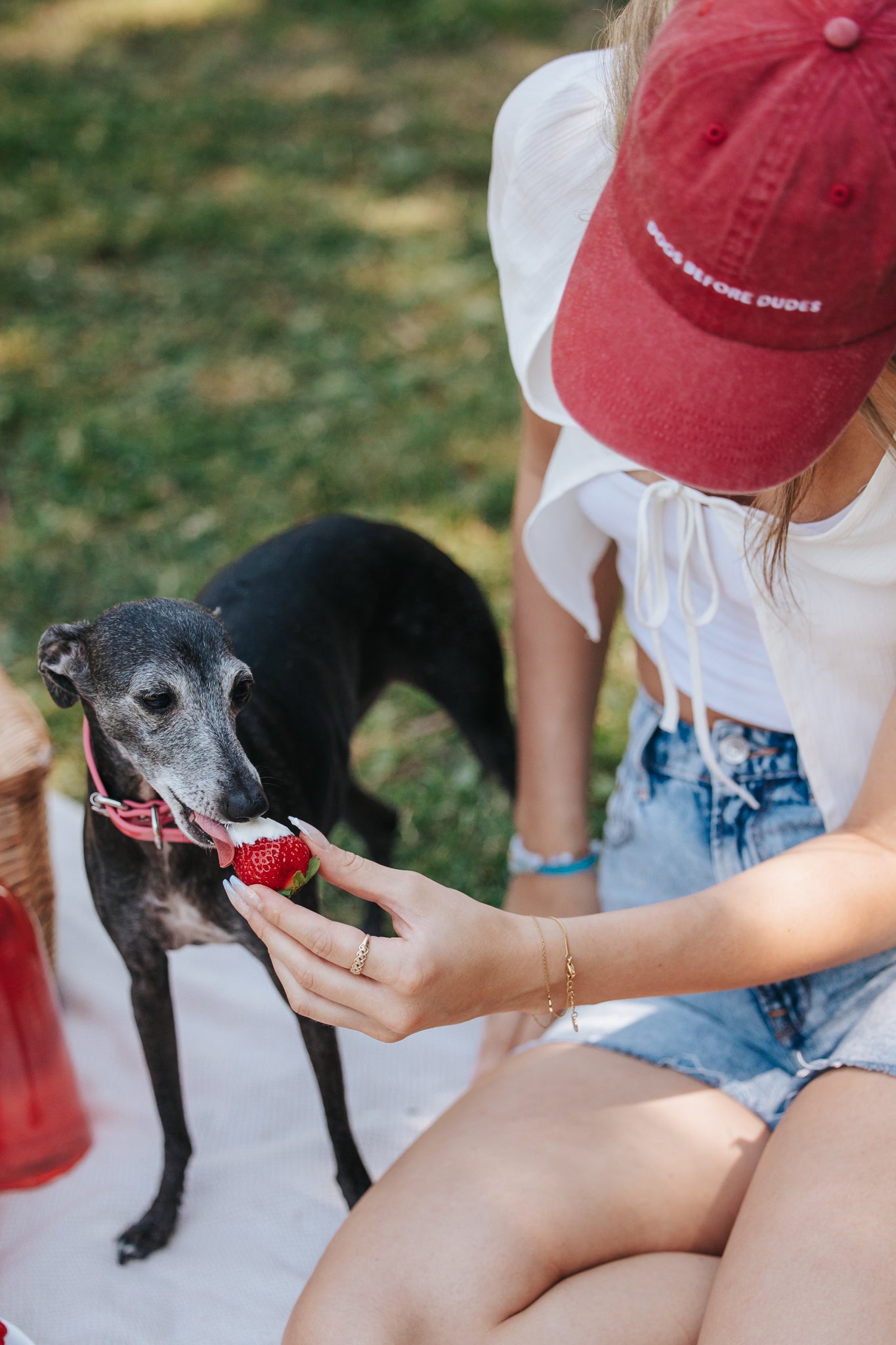 Rote Denim Cap - Dogs Before Dudes