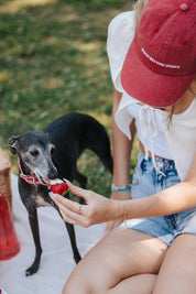 Rote Denim Cap - Dogs Before Dudes