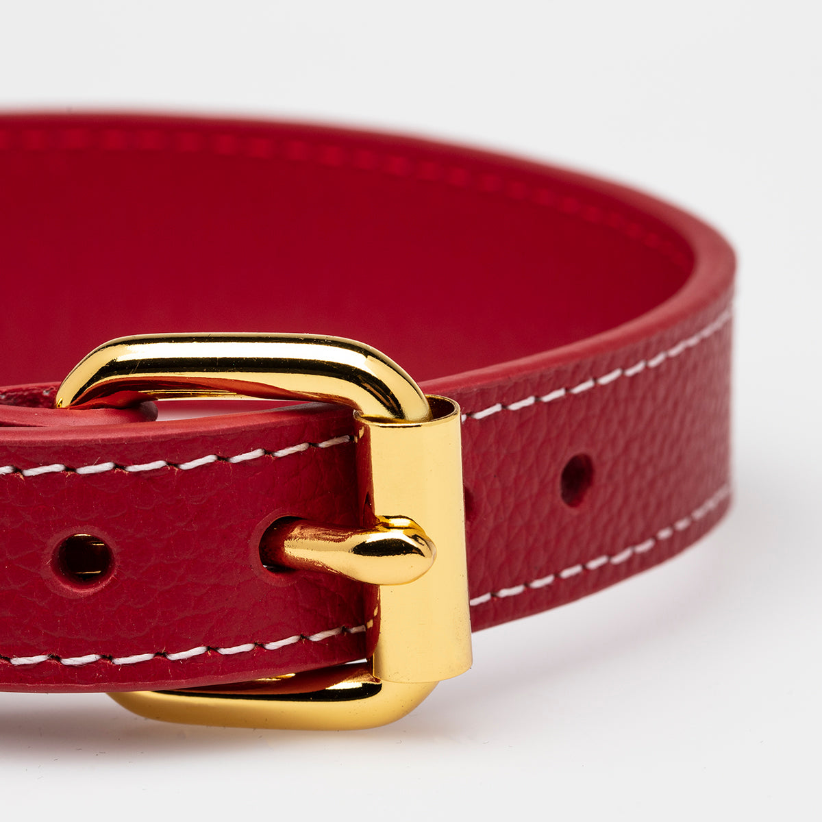 Rotes Hundehalsband Dünn