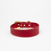Rotes Hundehalsband Dünn