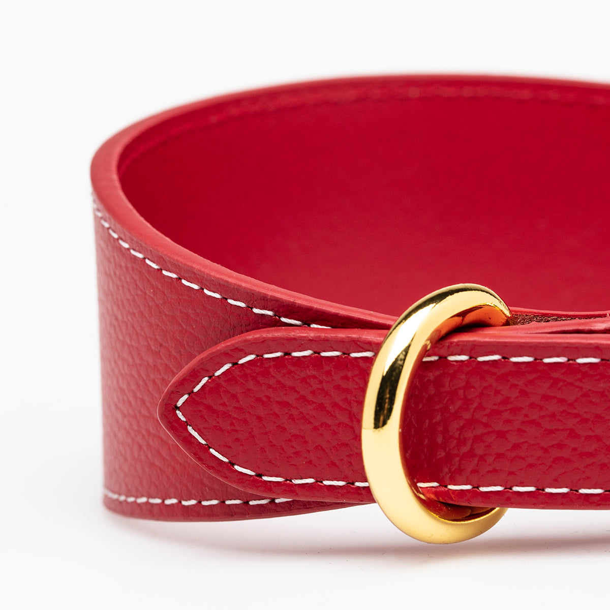 Rotes Hundehalsband Breit