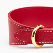 Rotes Hundehalsband Breit