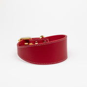 Rotes Hundehalsband Breit