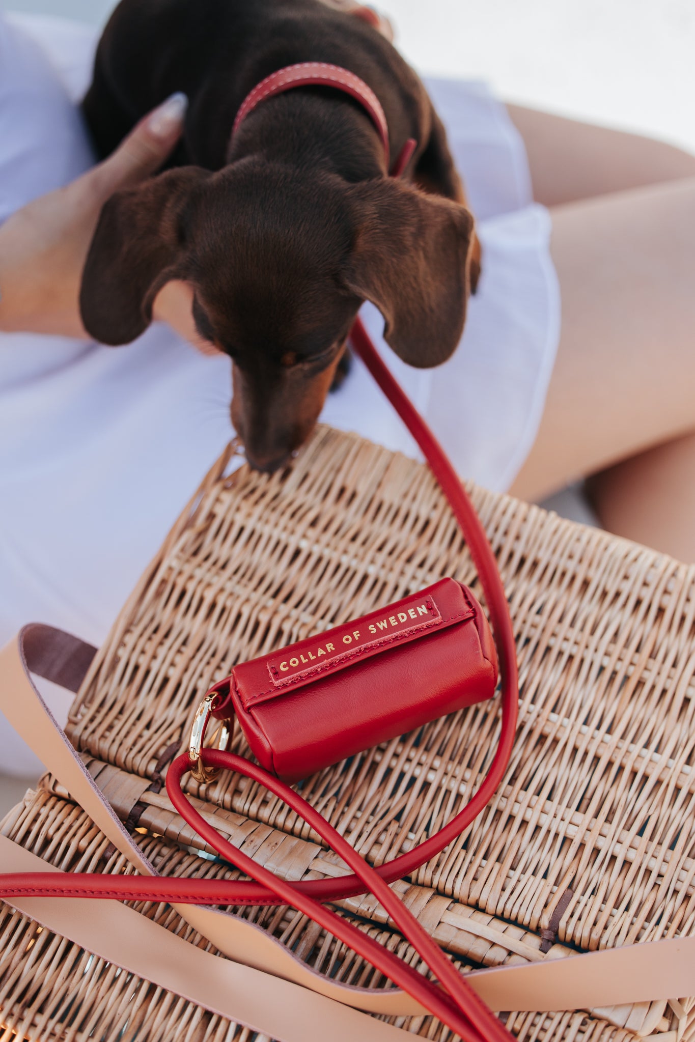 red-poop-bag-holder-enviroment.jpg