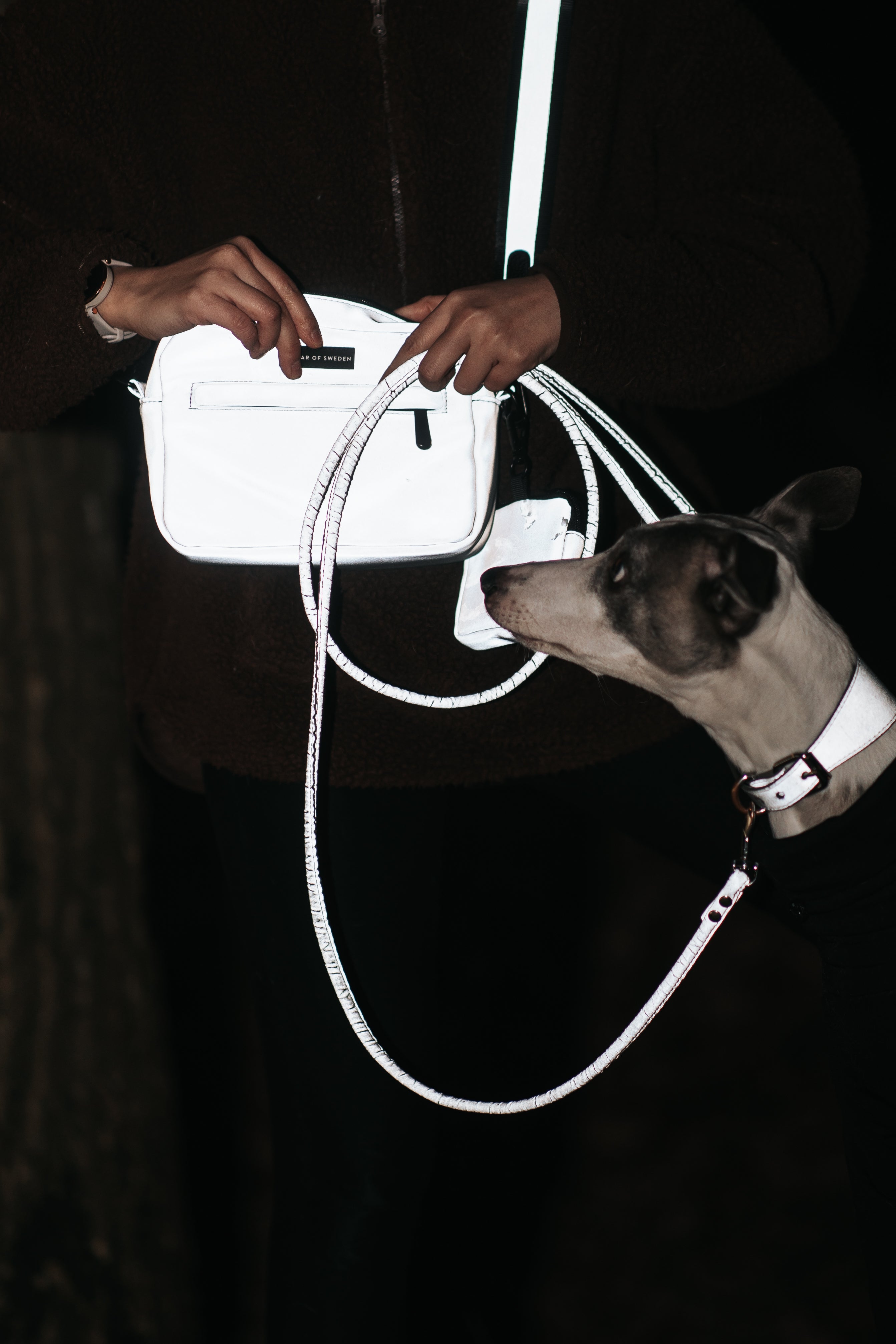 Reflektierende Hundetasche - Umhängetasche