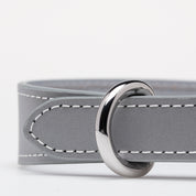 Reflektierendes Silber Hundehalsband Dünn