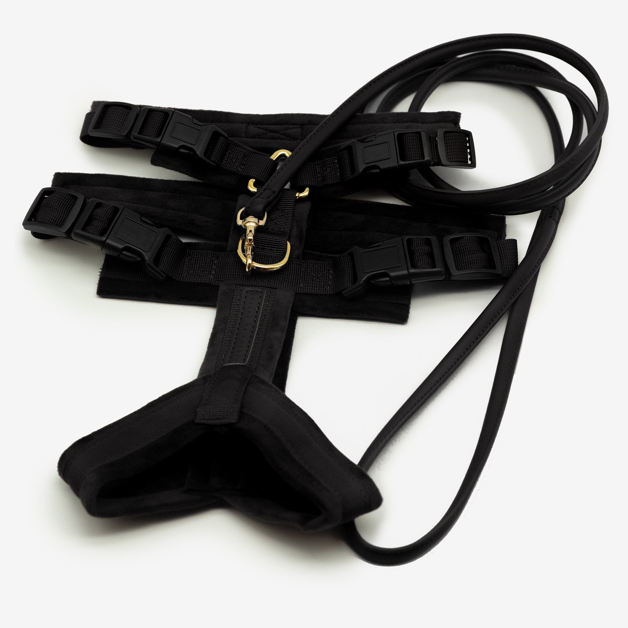 Black Y-Harness