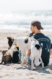 Schwarzes T-shirt - Dogs & Wine Make Everything Fine