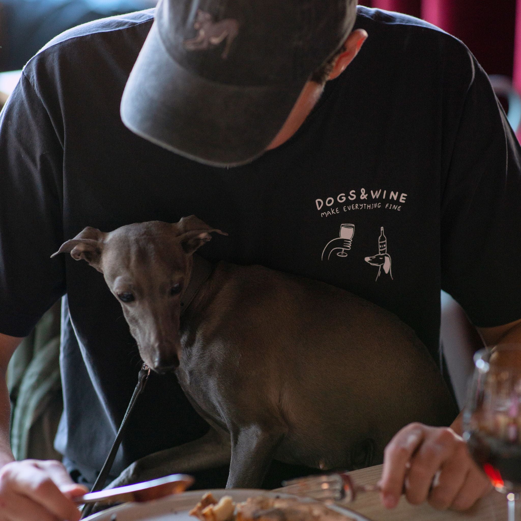 Schwarzes T-shirt - Dogs & Wine Make Everything Fine