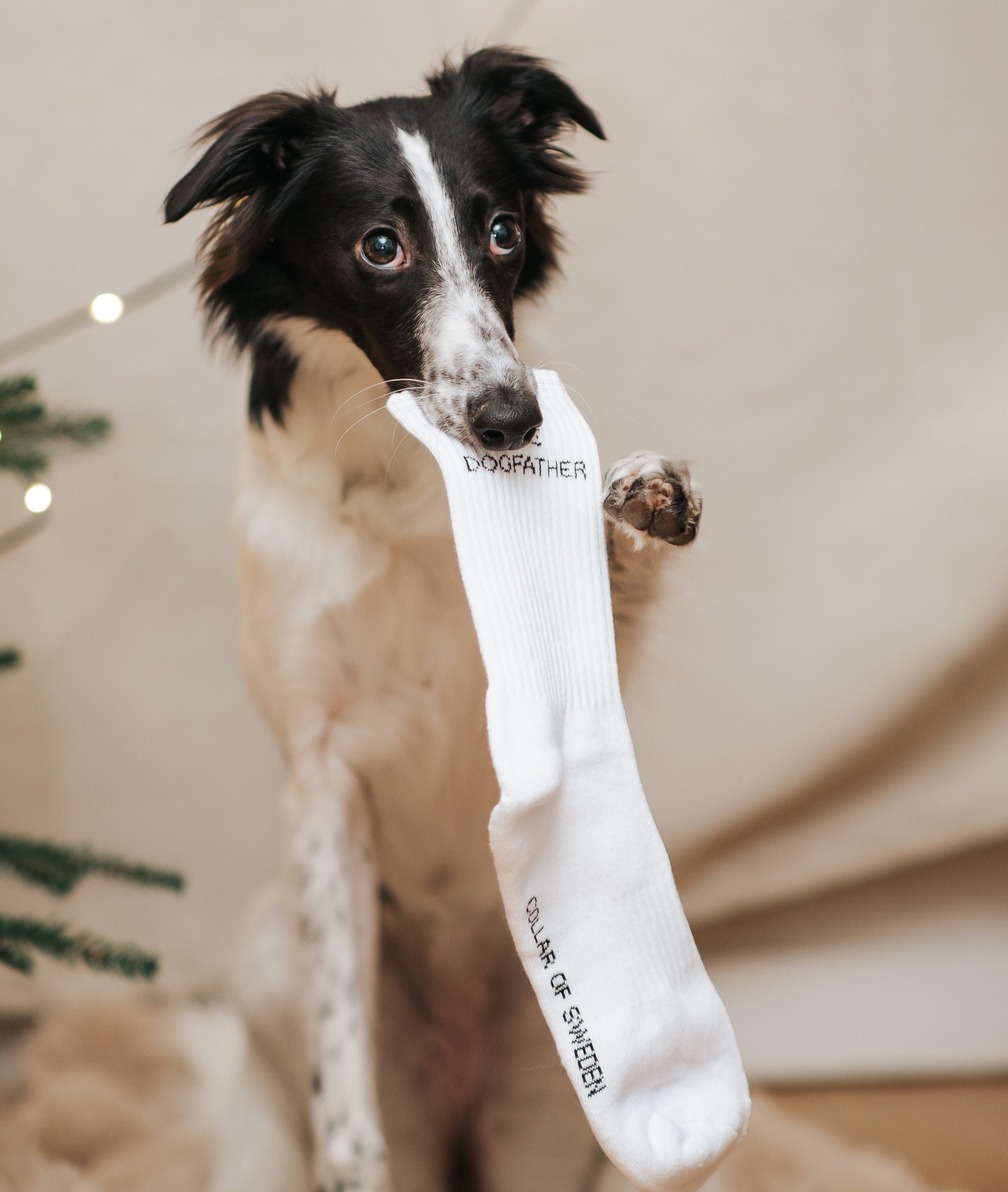 Weiße Röhrensocken - The Dogfather