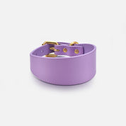 Violettes Hundehalsband Breit