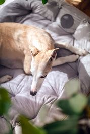 Graues Hundebett 3in1