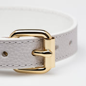 Weißes Hundehalsband Dünn