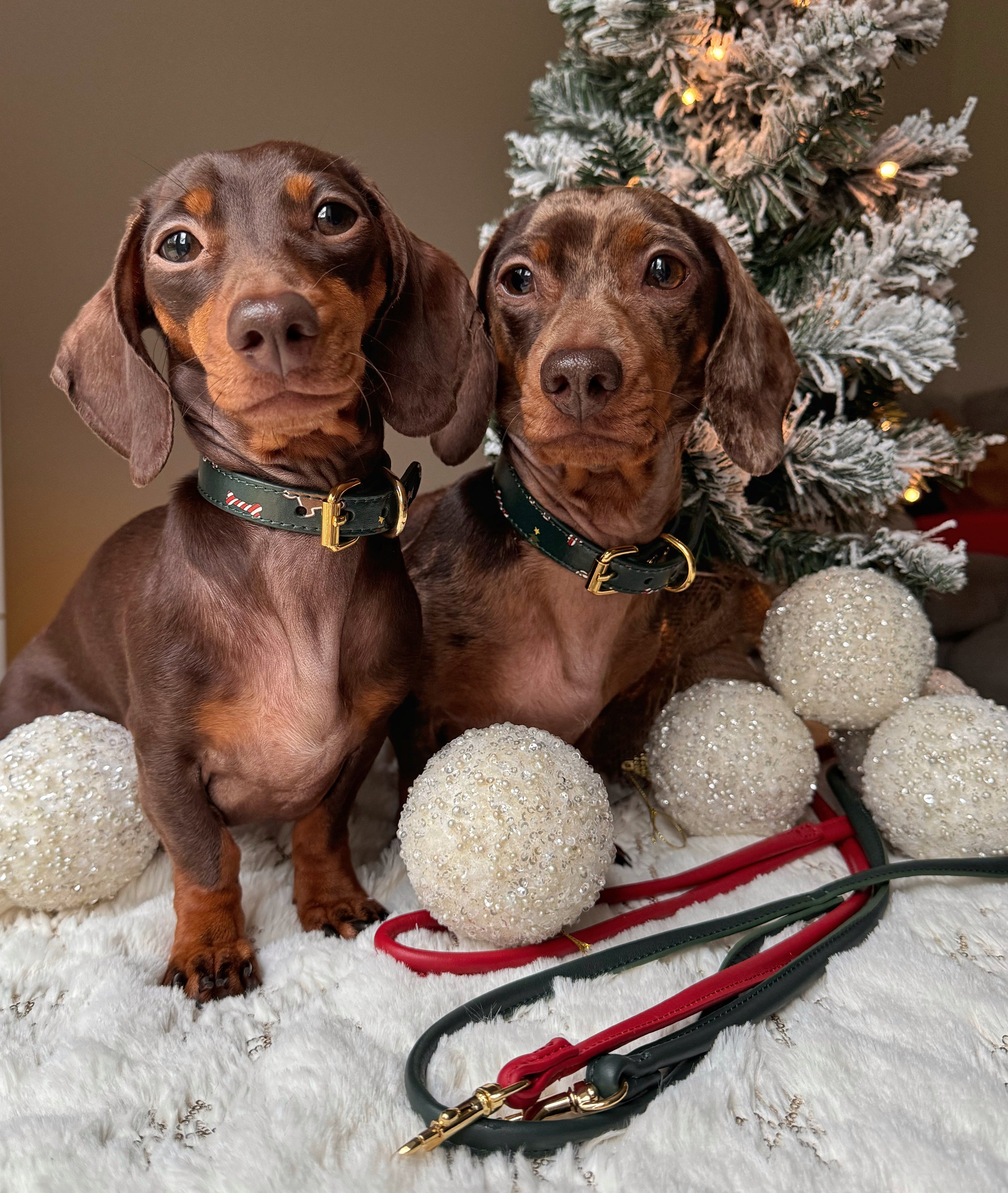 Weihnachten Hundehalsband Dünn