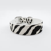 Zebra Hundehalsband dünn